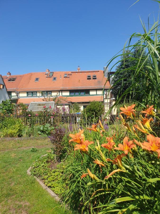 Denkmal-Ferienhaus In Dresden-Hellerau Mit Sauna Und Kamin 외부 사진